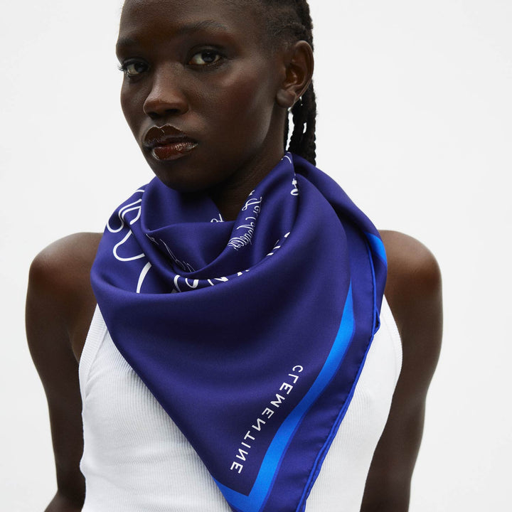 #color_midnight-voyage