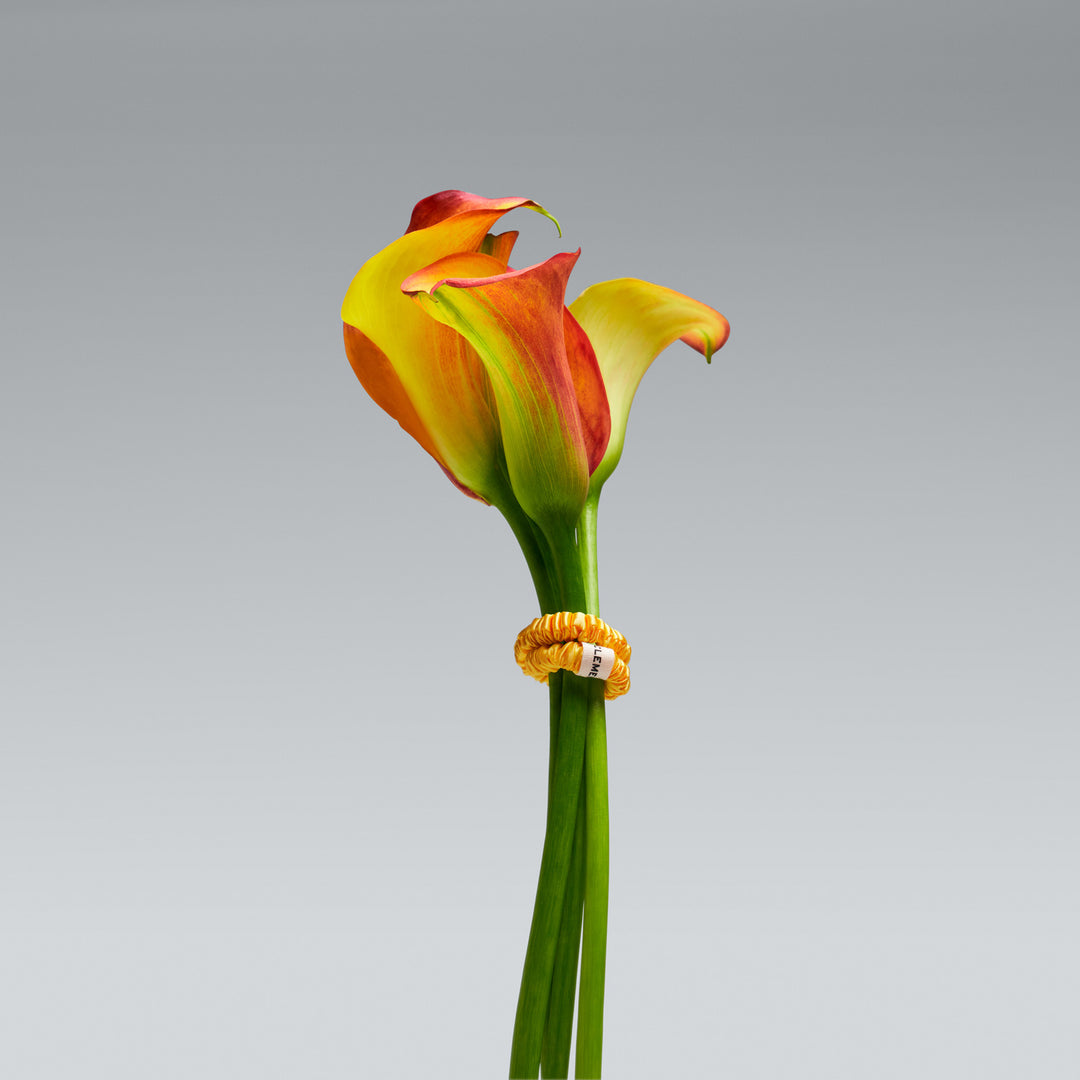 organic yellow scrunchie on flower