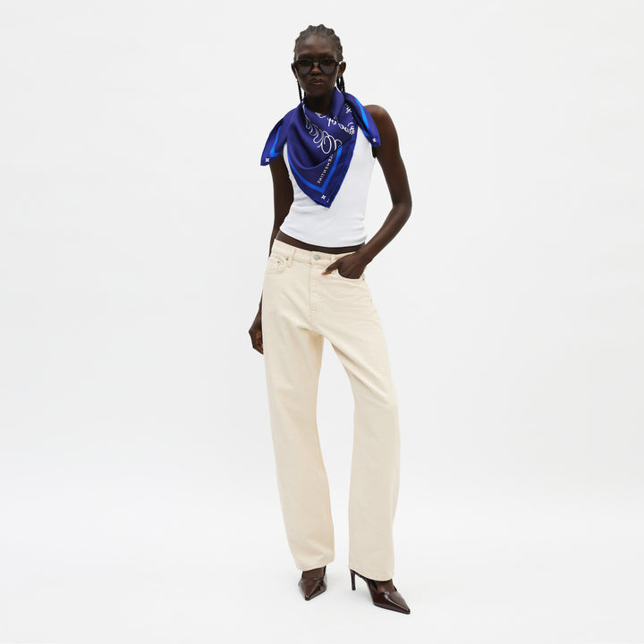 #color_midnight-voyage